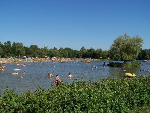 Studio Au Bord De L'Etang Laives Eksteriør billede